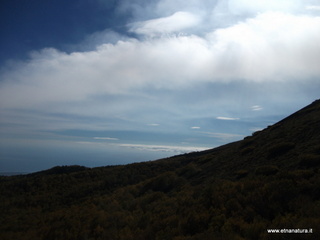 nte Zappinazzo-04-11-2012 11-05-00